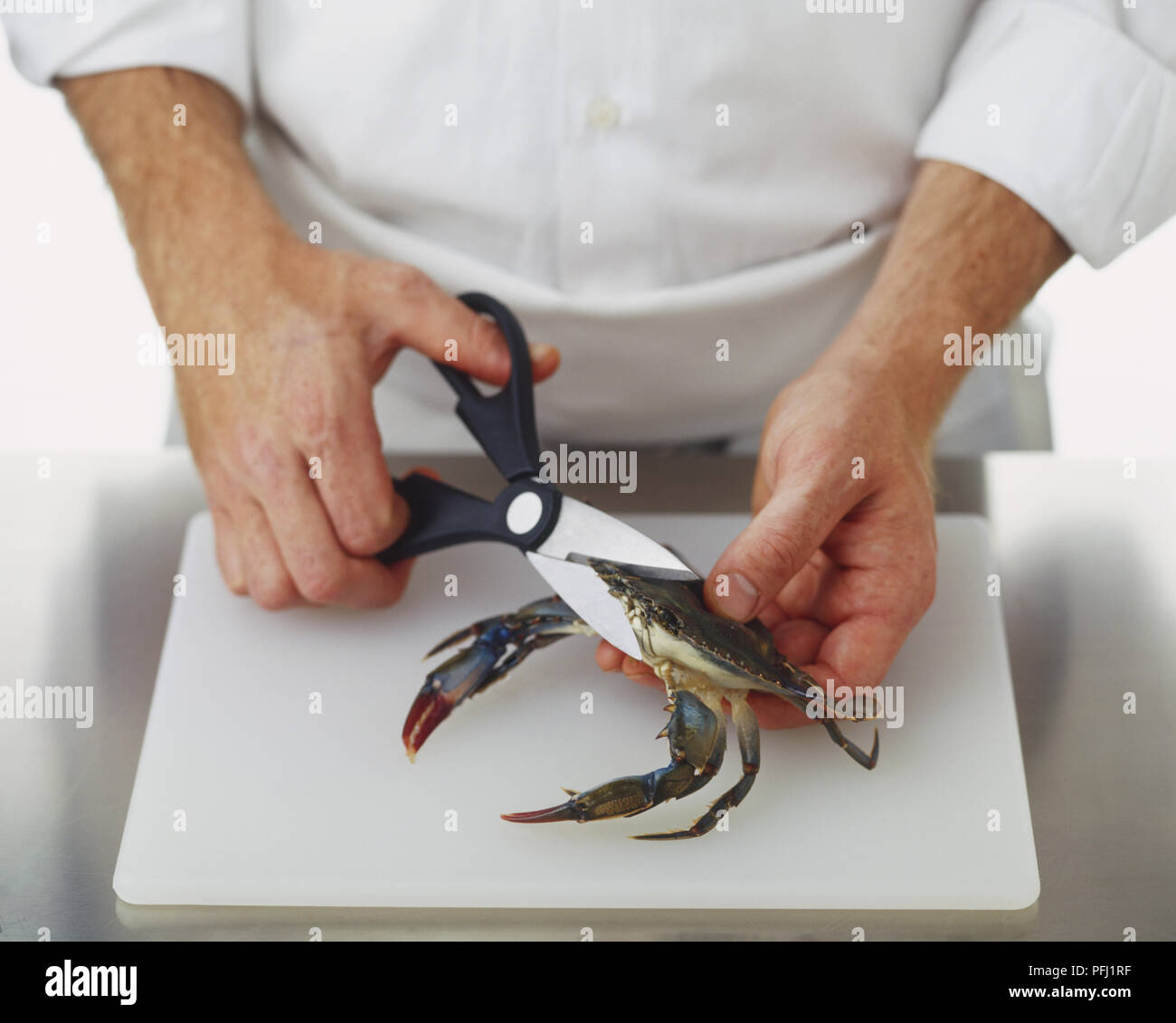 Using kitchen scissors to cut across front of a live crab, removing eyes and mouth Stock Photo