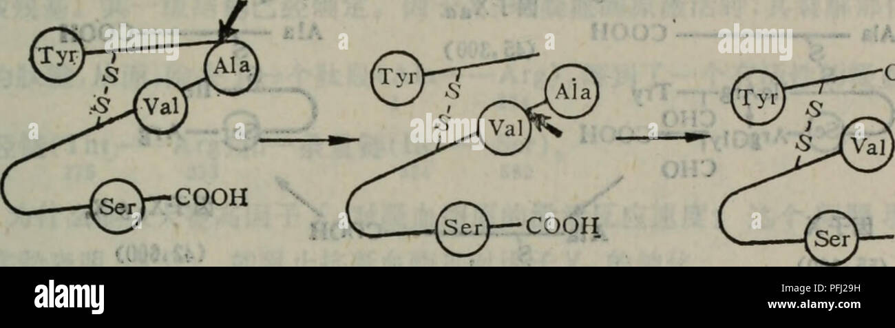 8 High Resolution Stock Photography And Images Alamy