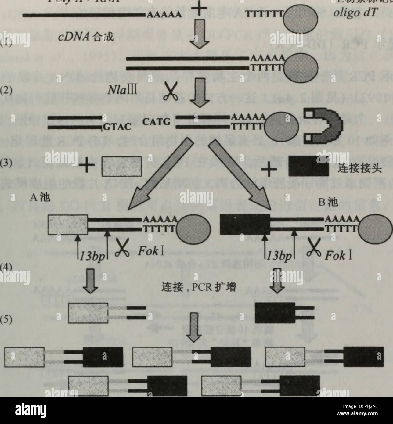 褋懈谐薪邪谢懈蟹邪褑懈褟 褕械褉懈褎 zx x 750