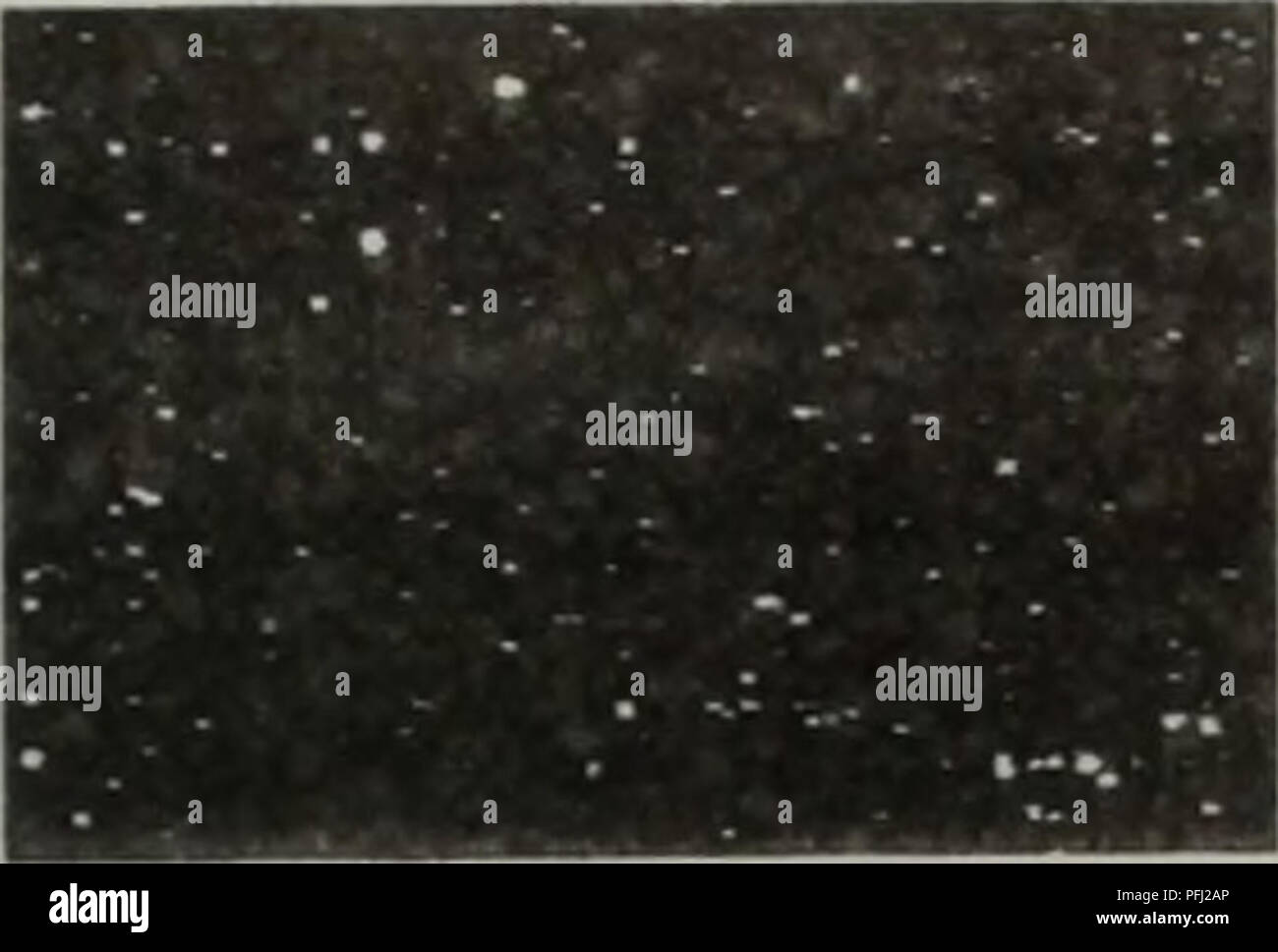 Mrna genetic structure hi-res stock photography and images - Alamy