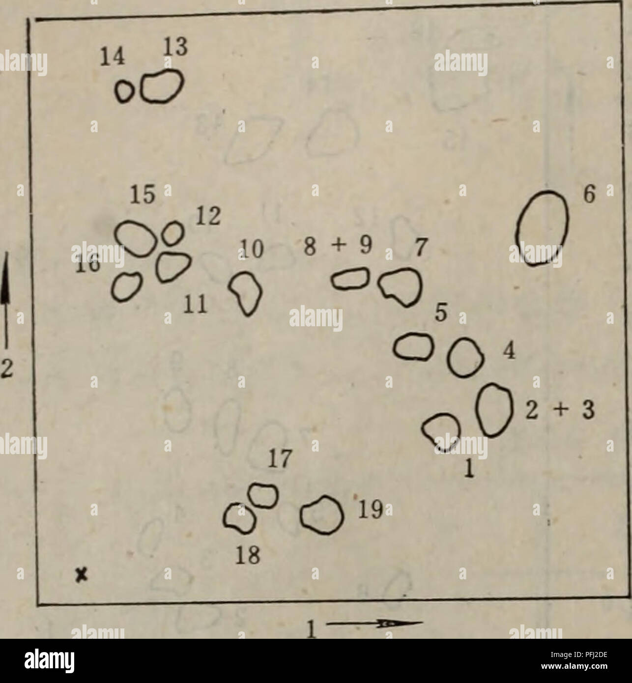 Dan Bai Zhi Shun Xu Fen Xi Ji Shu Botany A Aeaeº A Aec I A C 250mla Aºc Ae A I A Aeaeº A1 E A Ee 80 V V C E I Ae 50 50 V V Ae Ae I Eace C A C Ai A 2a3ae Cº 30 A 5 1 Ae Ae A E Aeº E I C Ac Ae C C e C A Ee Eºeeca E A Cº 0 5 X