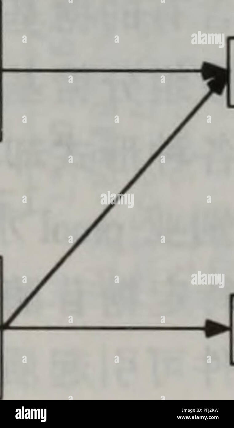 Page 3 Wei Liang High Resolution Stock Photography And Images Alamy