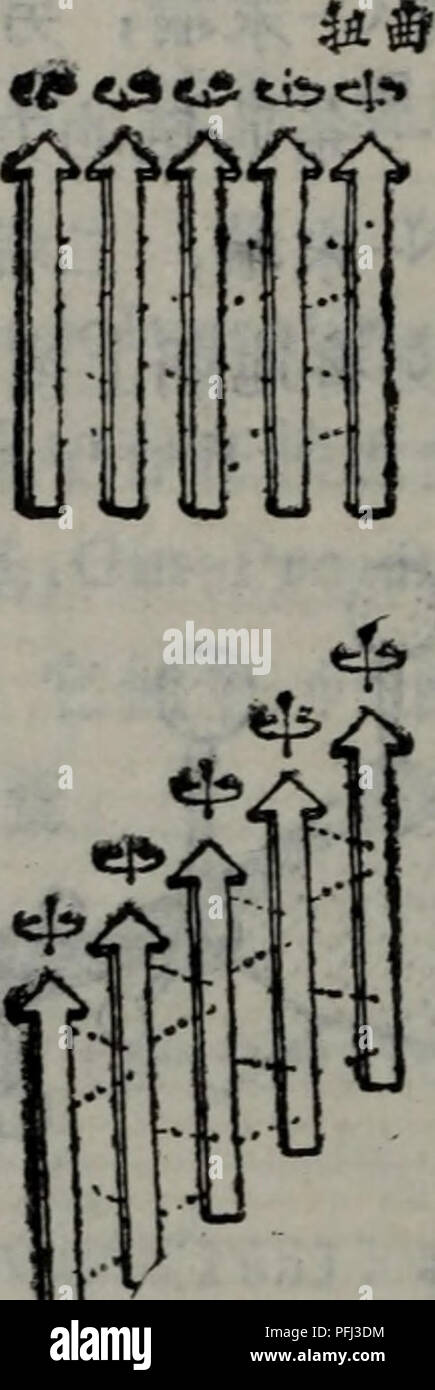 . dan bai zhi de jie gou yu gong neng. botany. . Please note that these images are extracted from scanned page images that may have been digitally enhanced for readability - coloration and appearance of these illustrations may not perfectly resemble the original work.. yan long fei. hu nan ke xue ji shu chu ban she Stock Photo