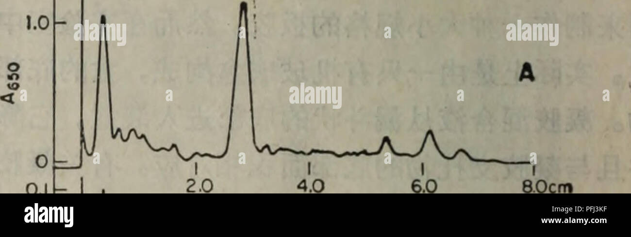 Cc Ec High Resolution Stock Photography And Images Alamy
