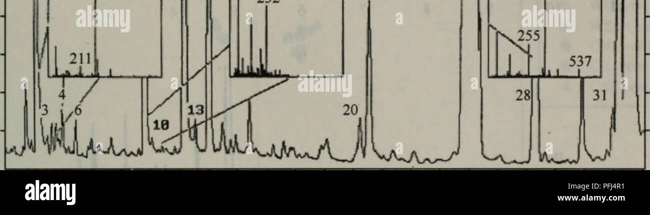 1 147 Fa High Resolution Stock Photography And Images Alamy