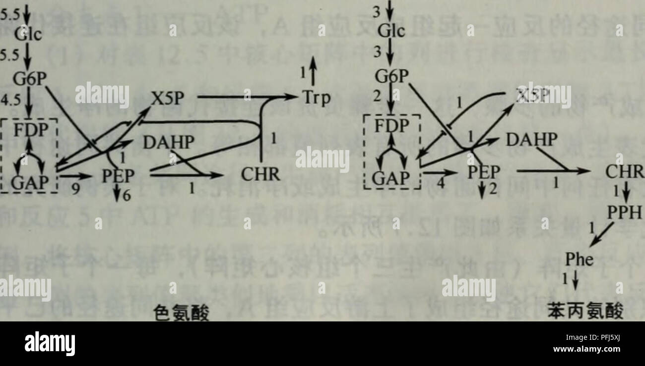 Dai Xie Gong Cheng Botany E 12 5e Aºe Cc C ec C Csimsc C Eµa Cae A C C Eµ C C Ea A º P1 P2 P3 P4 P5 P6 Trp Phe Tyr Pol Gol Adp 1 5 5 3 3 2 1 0 5 2 5 5
