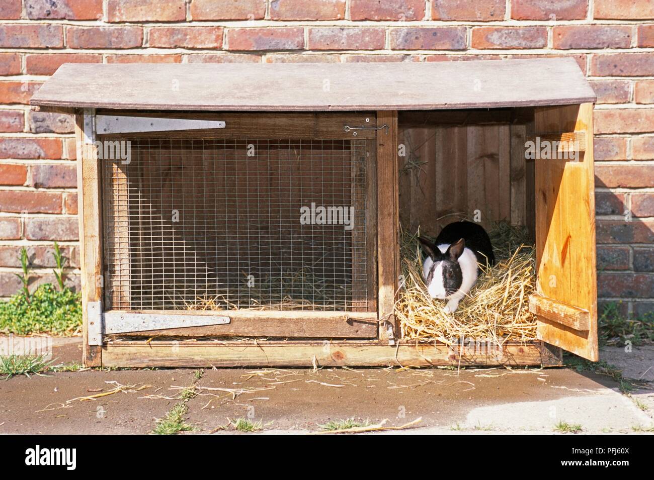 rabbit hutch doors