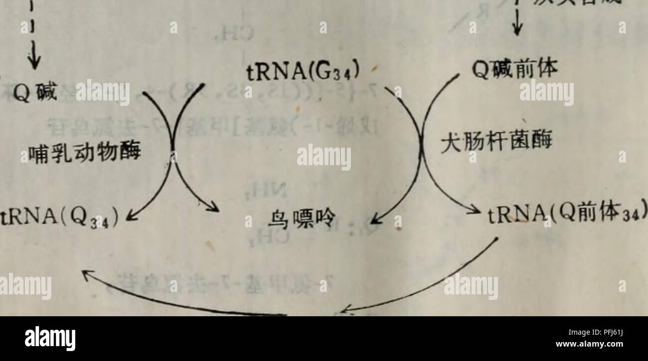 Dai Xie Tang Dai Xie Ji Qi Tiao Kong Yu He Suan Dai Xie Botany A Ae ºcea ºtrna Ae E E Ae E E A Ae E a Ccaeea A E Ae T Quot C C Ee A E I A Ae A 6 6 I E ºe E Ae Amp Ima A E A e Ae I I Aªaae Aea 1e E E A Pi