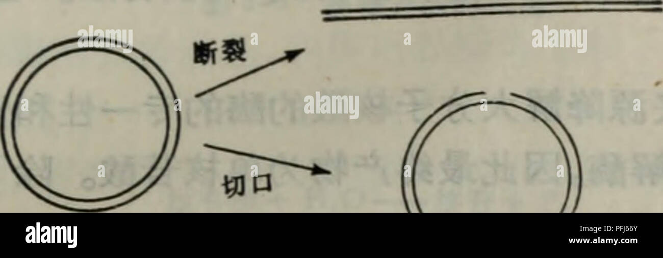 Dnase High Resolution Stock Photography And Images Alamy Dnase High Resolution Stock Photography And Images Alamy