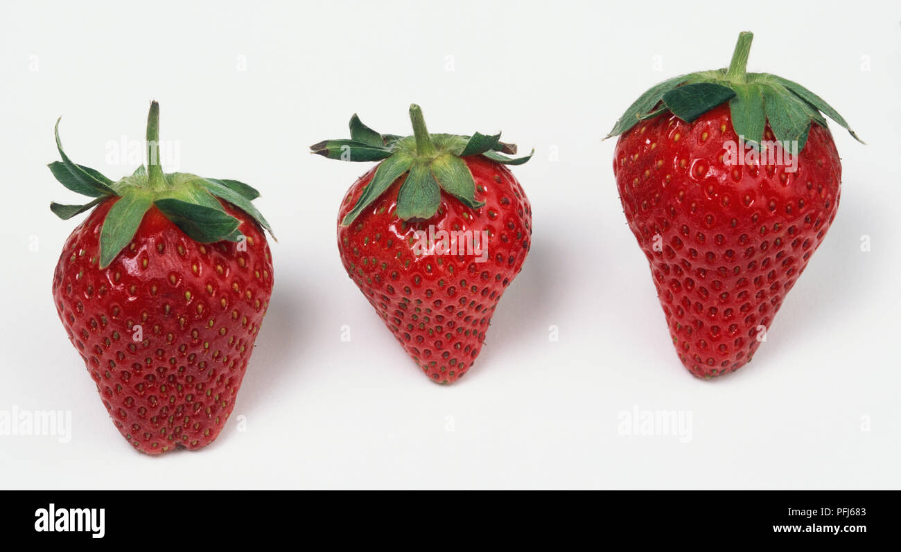 Three colour hi-res stock photography and images - Alamy