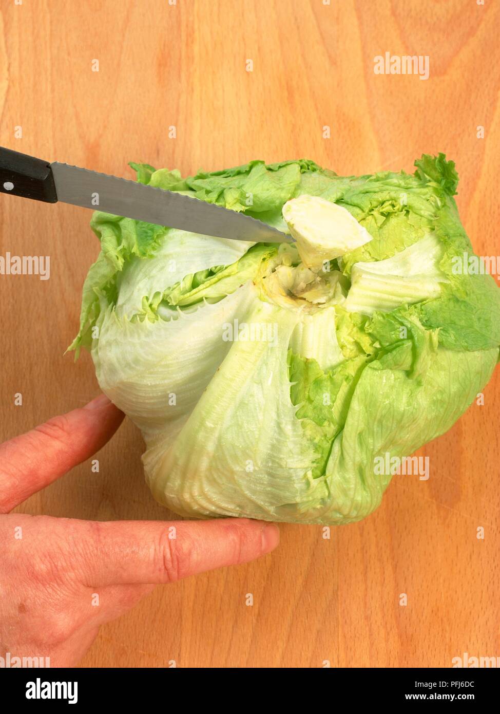 Removing core at base of lettuce, using knife, closeup Stock Photo Alamy
