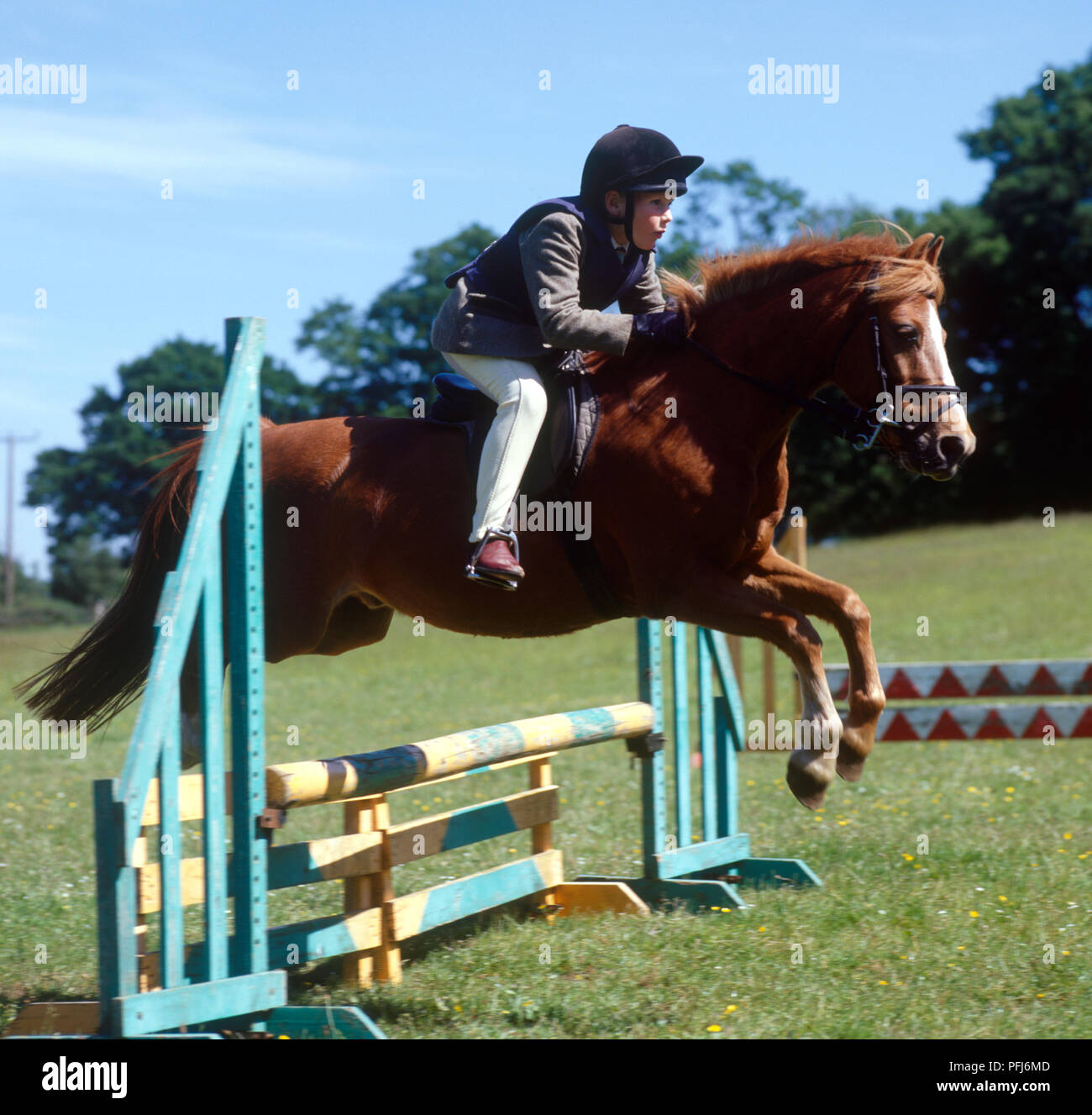 Great Britain, England, boy on a pony jumping over hurdle, side view Stock Photo