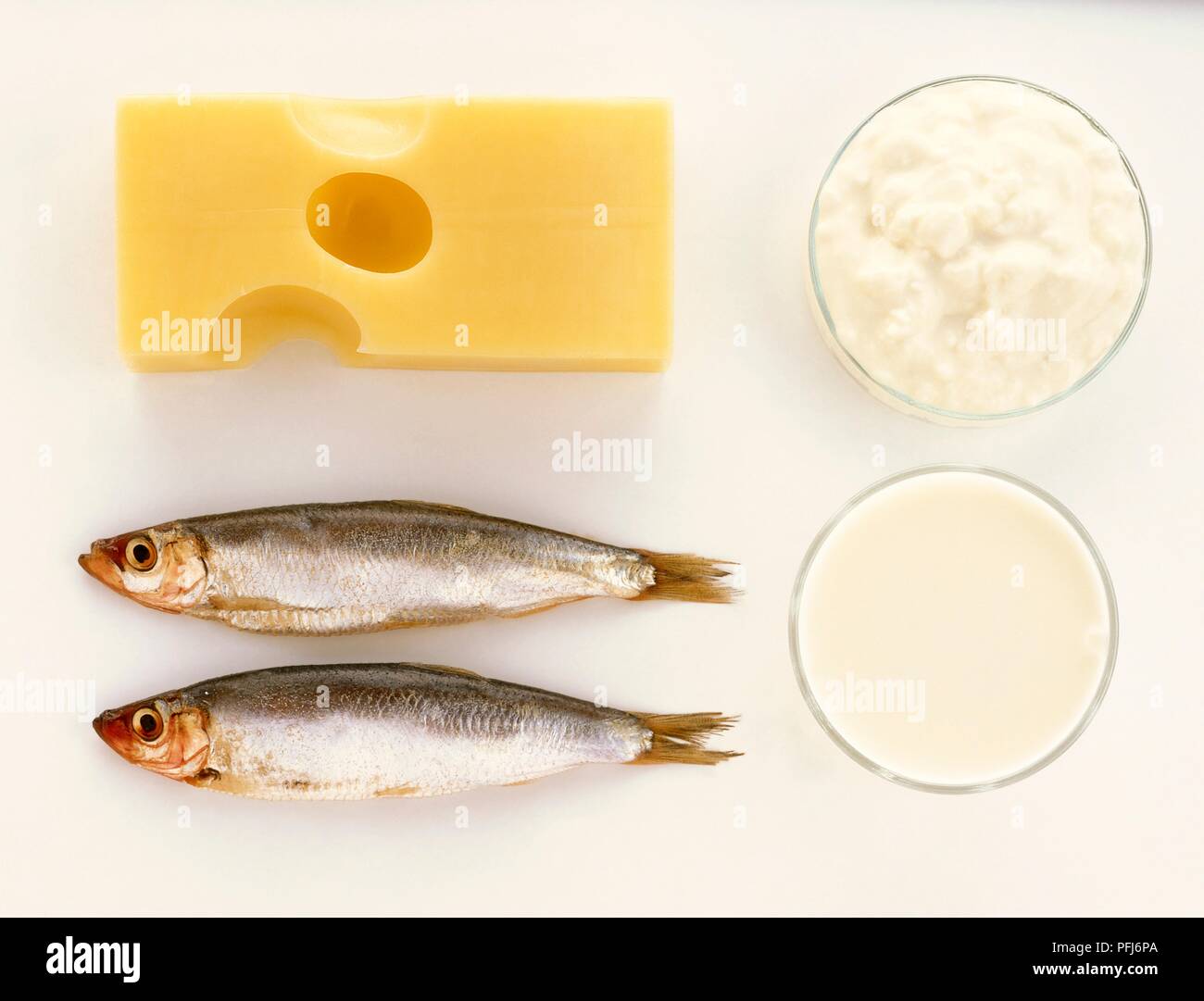 Sardines, emmental cheese, cottage cheese, yoghurt Stock Photo Alamy