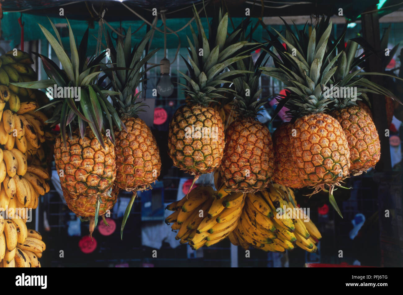 Central America, Costa Rica, San Jose, Mercado Central, fruit for sale