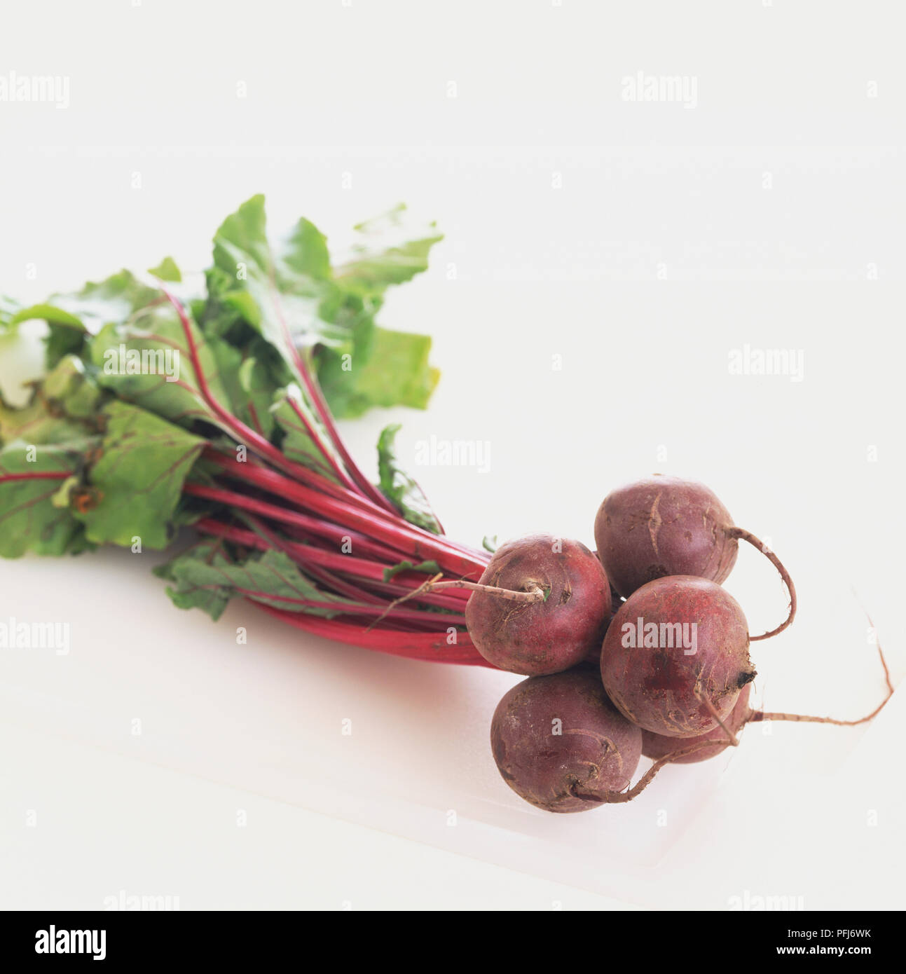 Beetroots attached to shoots, close up. Stock Photo