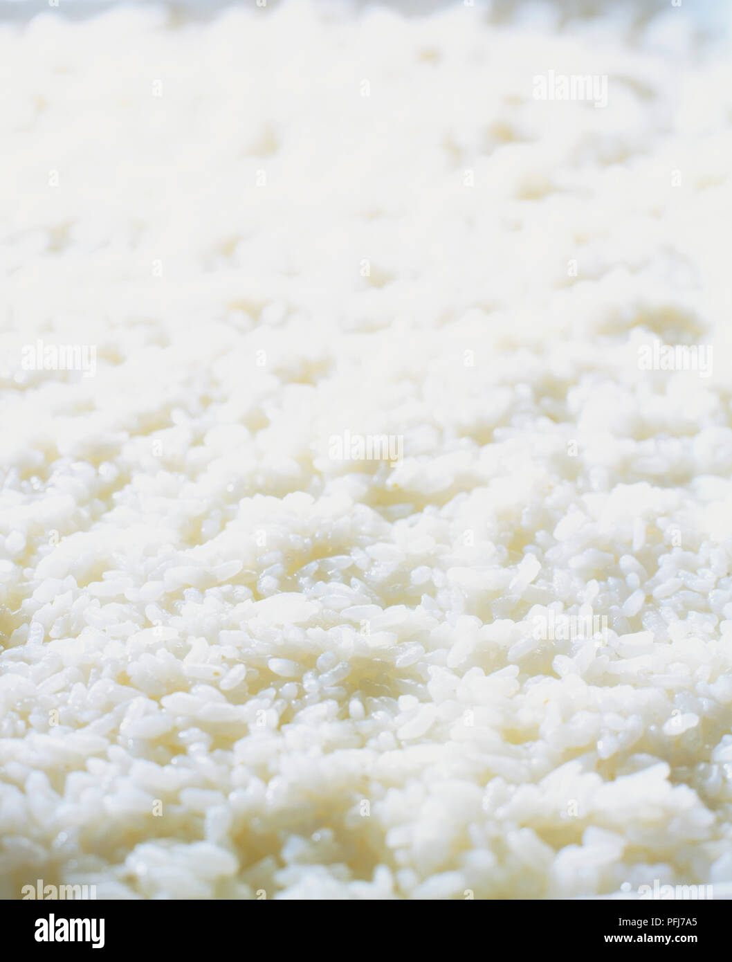 Cooked plain basmati rice hi-res stock photography and images - Alamy