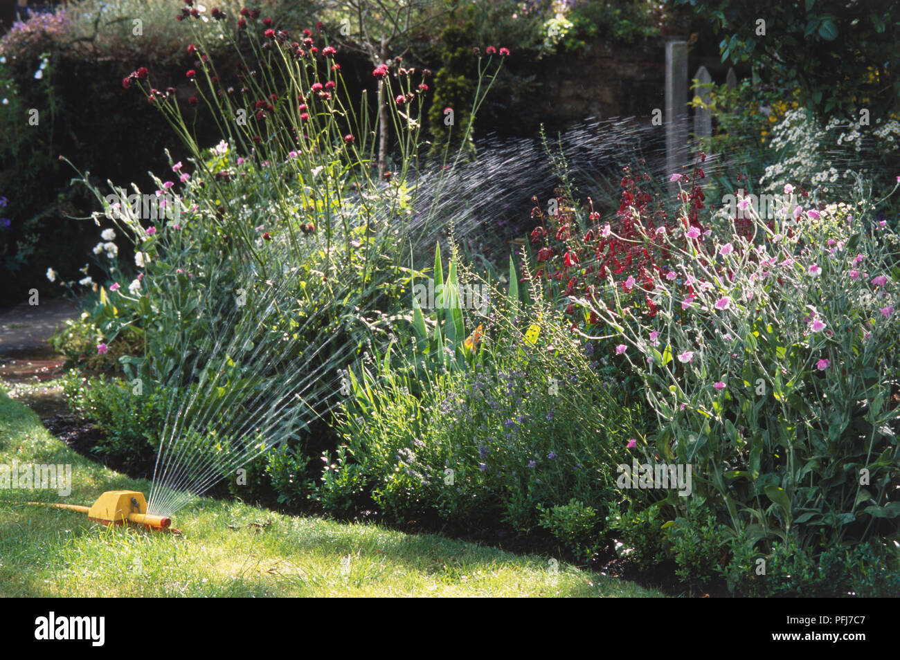 Sprinkler spraying water over a flower bed Stock Photo Alamy