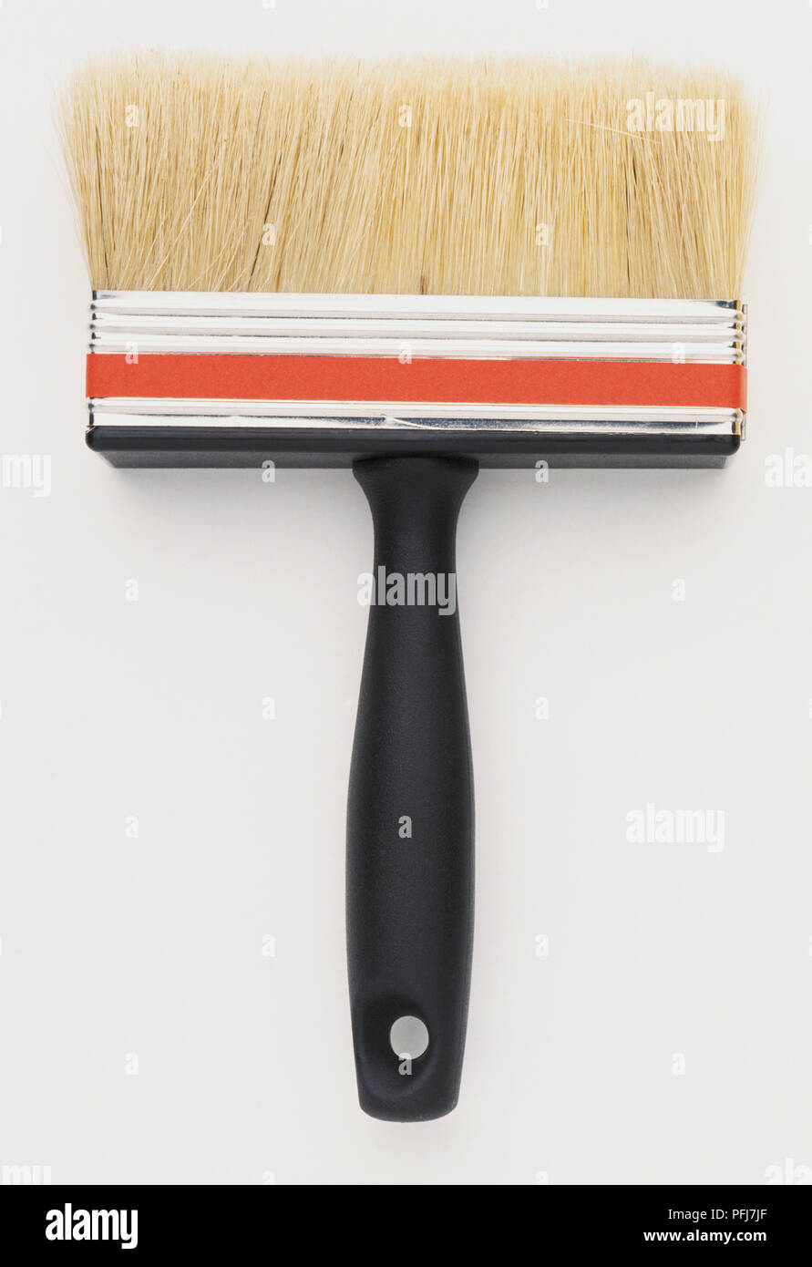 Wide paint brush with dense bristles Stock Photo Alamy