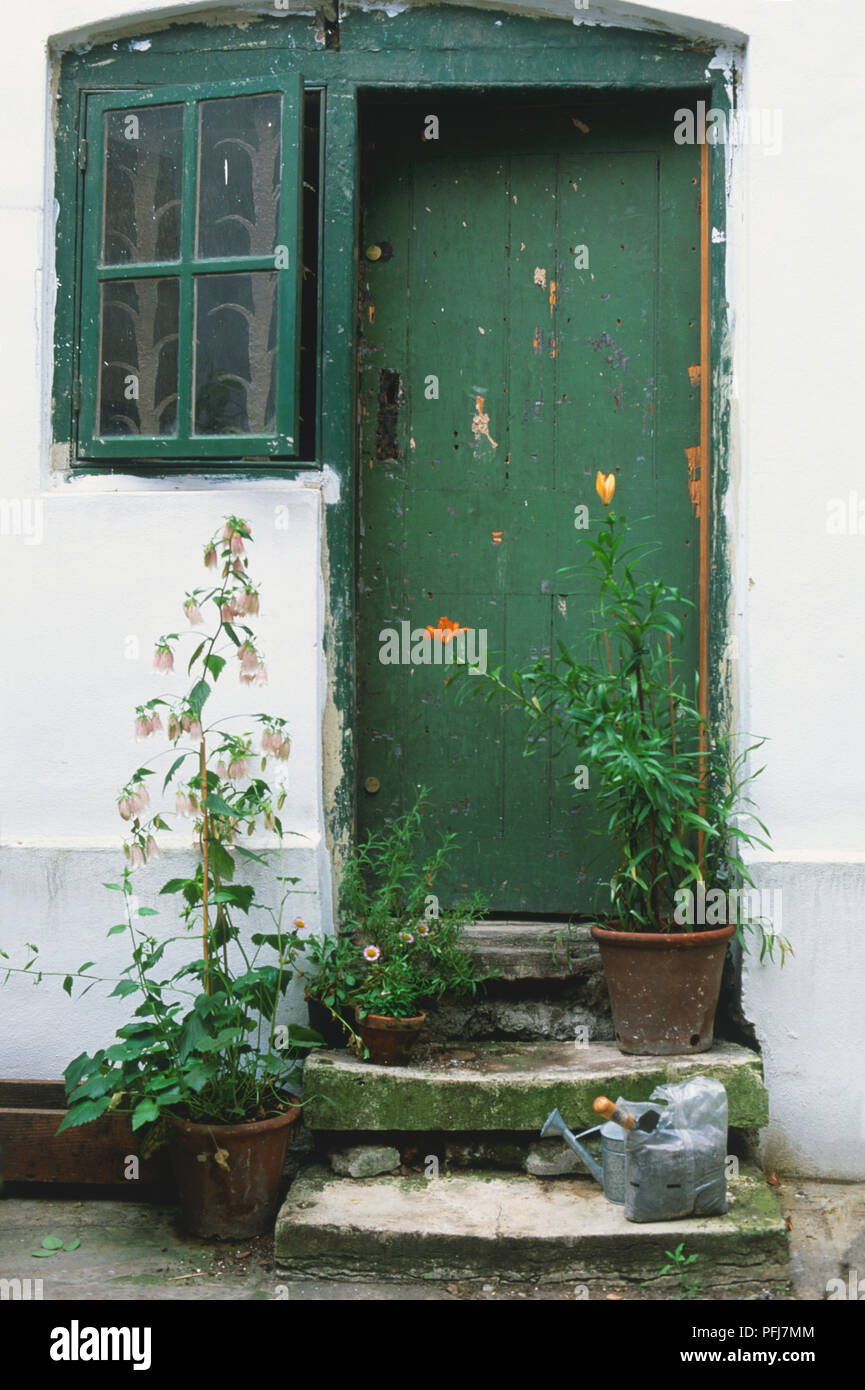 Outside view of closed window set in white wall, two old stone steps leading up to green door with paint worn off, plants with field flowers, watering can and bag on and next to steps. Stock Photo