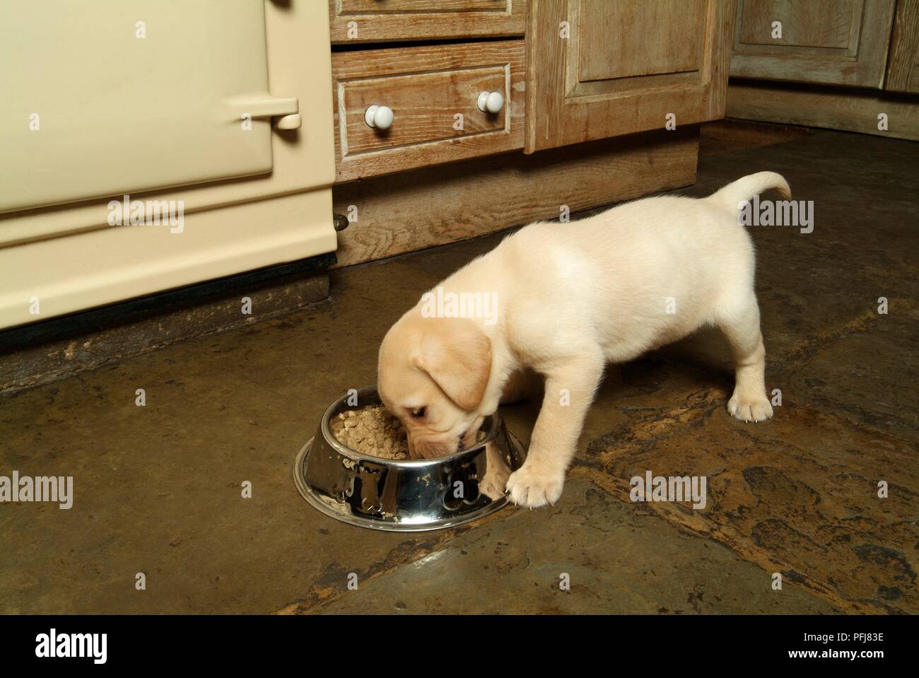 Kitchen care hi-res stock photography and images - Alamy