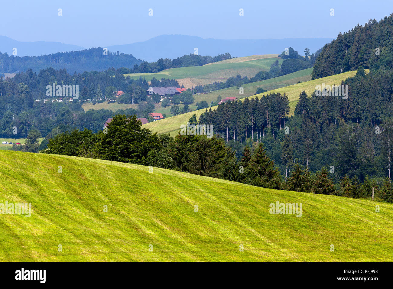 Landscape in Black Forest near Furtwangen Stock Photo