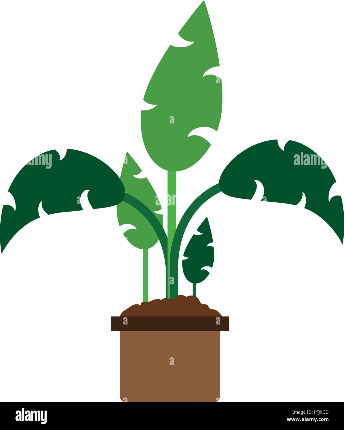 Plant pot isolated Stock Vector Image & Art - Alamy