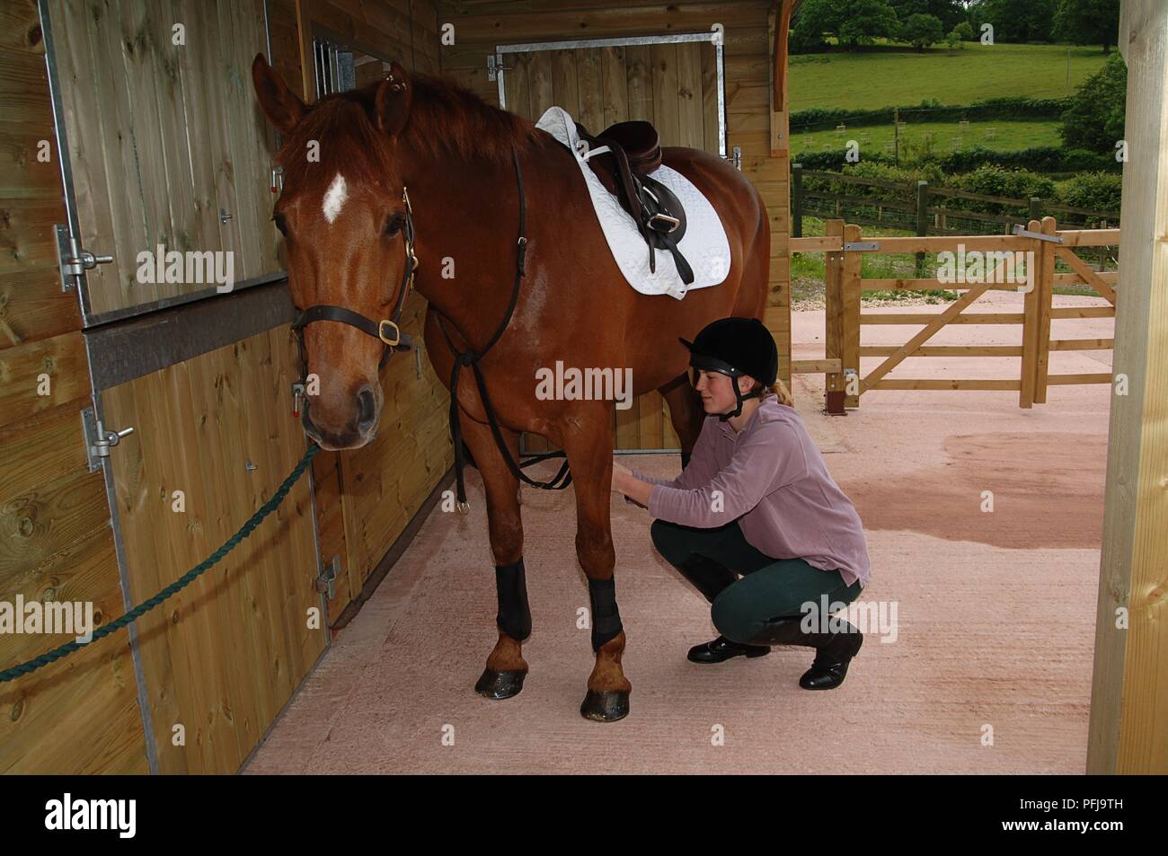 Tacking up a horse deals