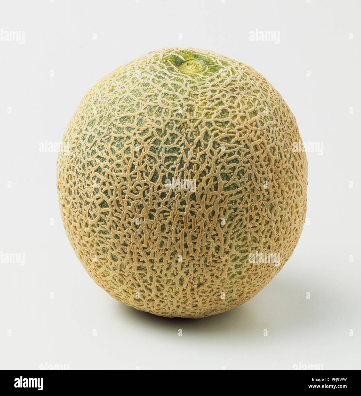 Cantaloupe melon showing patterned skin Stock Photo Alamy