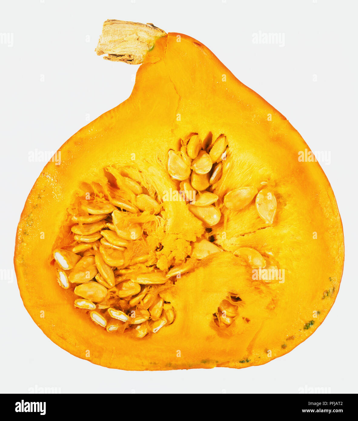 Squash, crosssection showing seeds Stock Photo Alamy