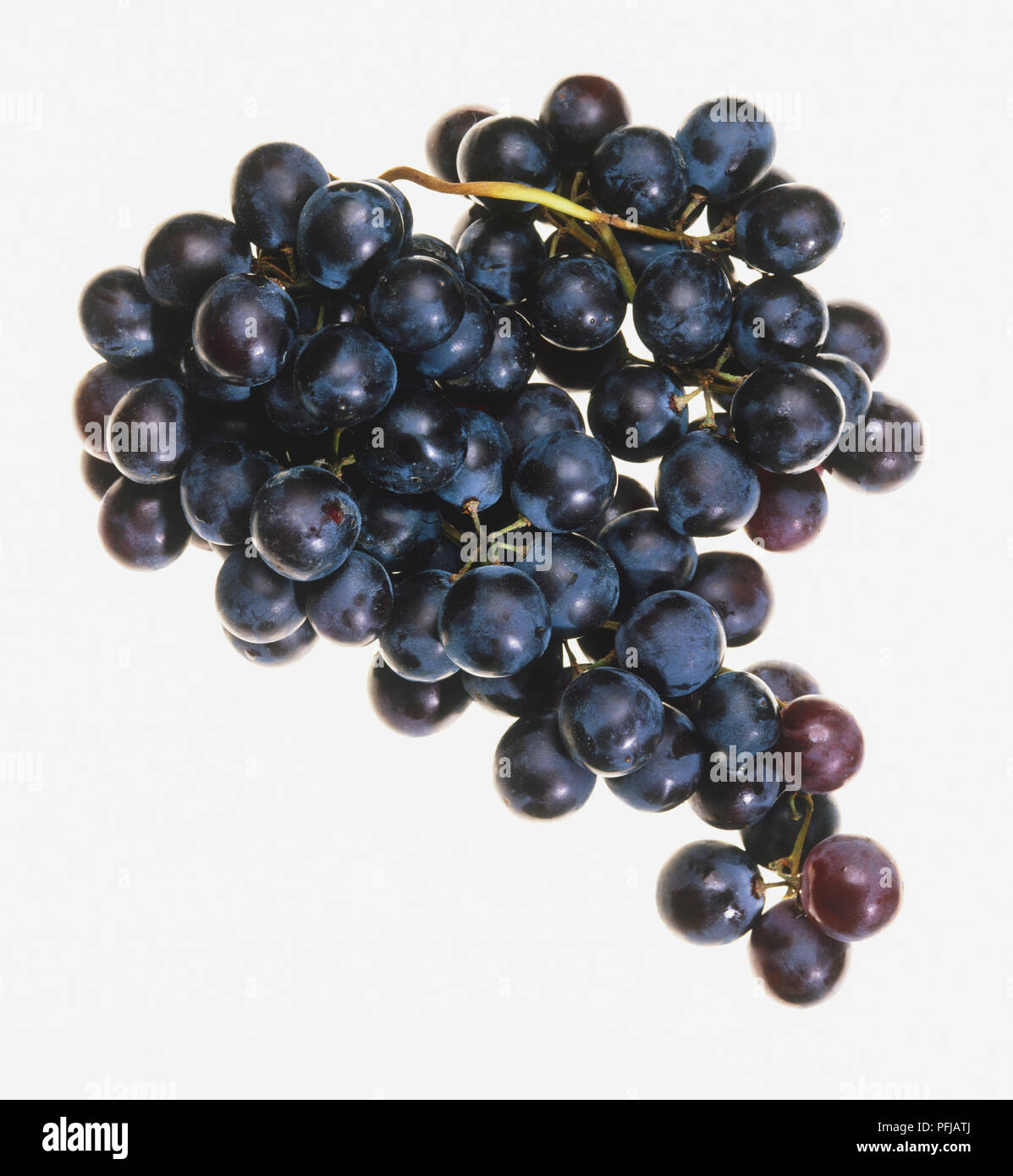 Bunch of black grapes Stock Photo Alamy