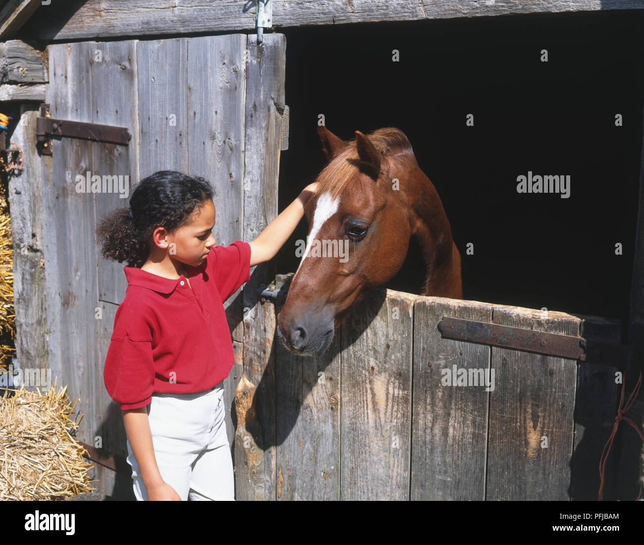 Girl standing outside horse hi-res stock photography and images - Alamy