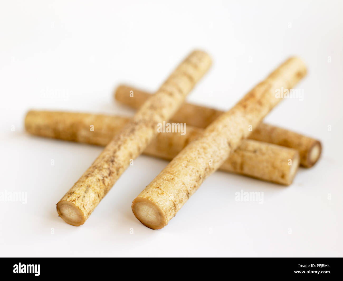 Arctium lappa (Greater burdock), root, closeup Stock Photo Alamy