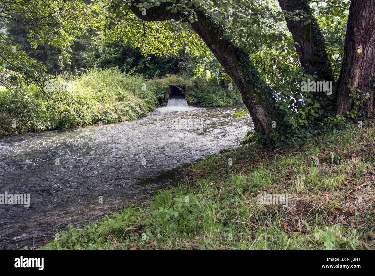 TARA National Park, Western Serbia - Waterfalls and rapids on a mountain river Vrelo Stock Photo