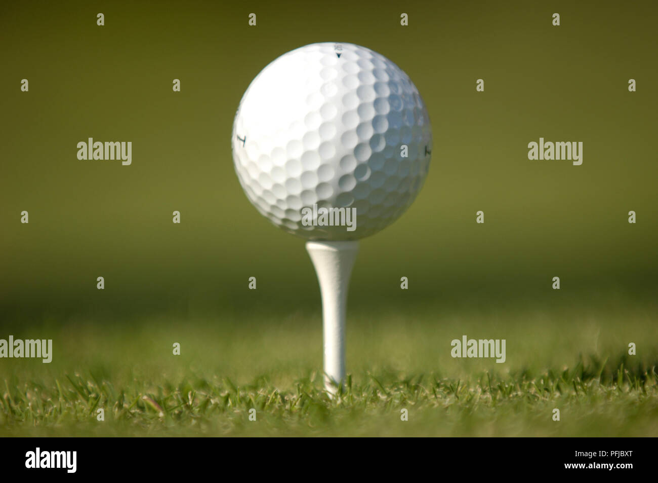Golf ball on tee on putting green Stock Photo Alamy