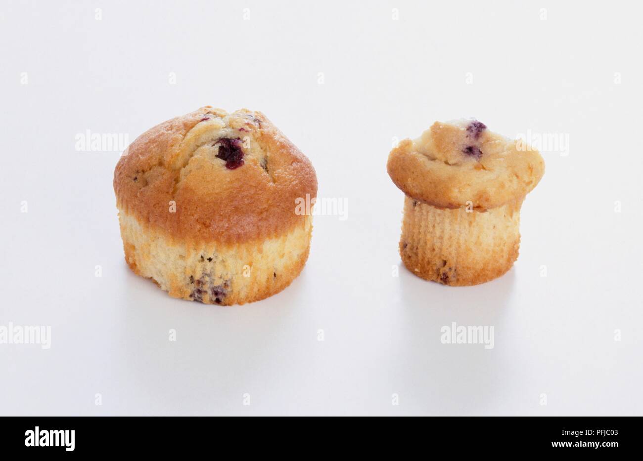 Large blueberry muffin next to small blueberry muffin Stock Photo