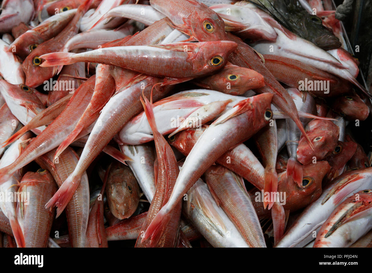 Malta food fish hi-res stock photography and images - Page 3 - Alamy