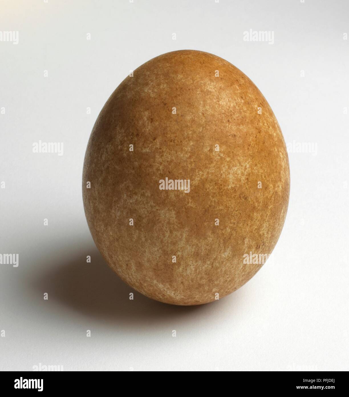 Golden Eagle Egg