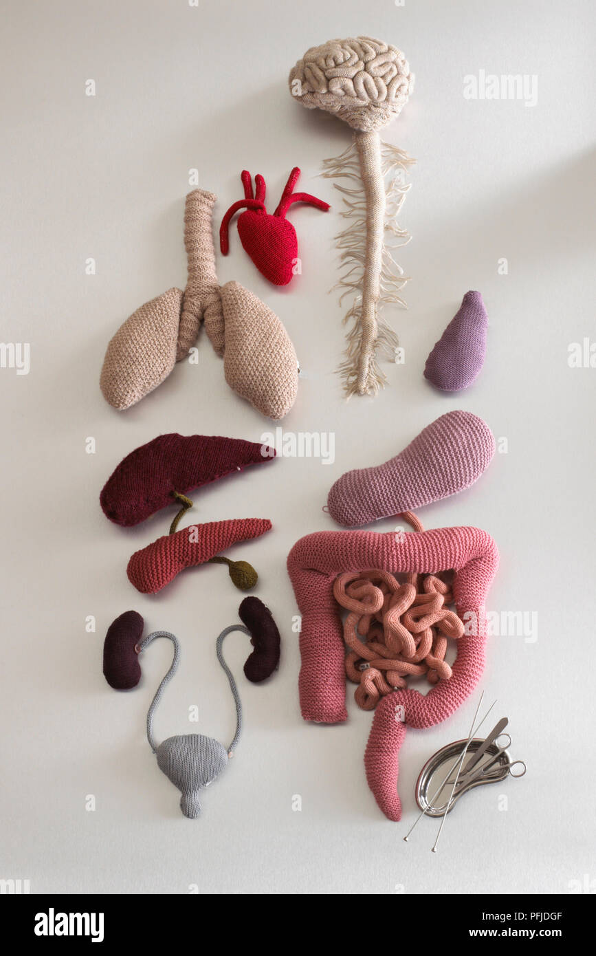 Stuffed fabric replica of internal organs with miniature surgical