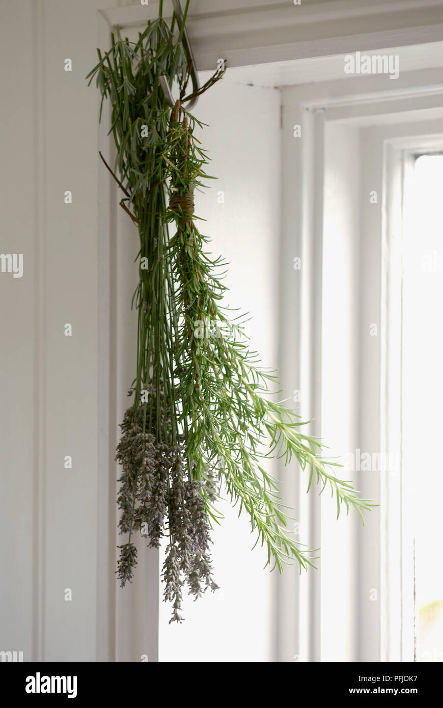 hanging planter for railing LTD Commodities Decorative Fence and Rail Planters for Outdoor Flowers