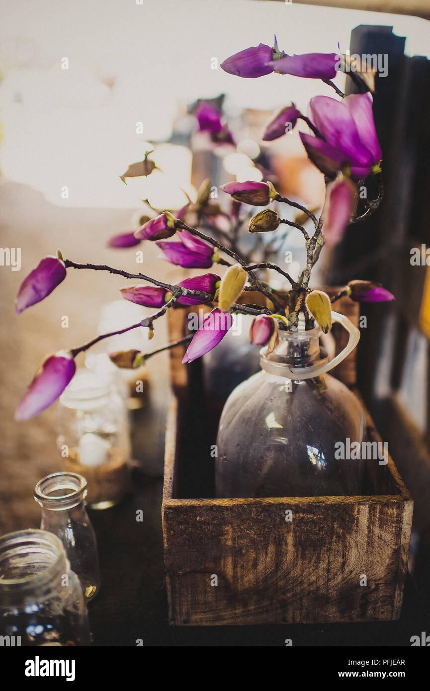 DIY homemade rustic repurposed farmhouse barn decor of bottle flowers in vintage jars Stock Photo