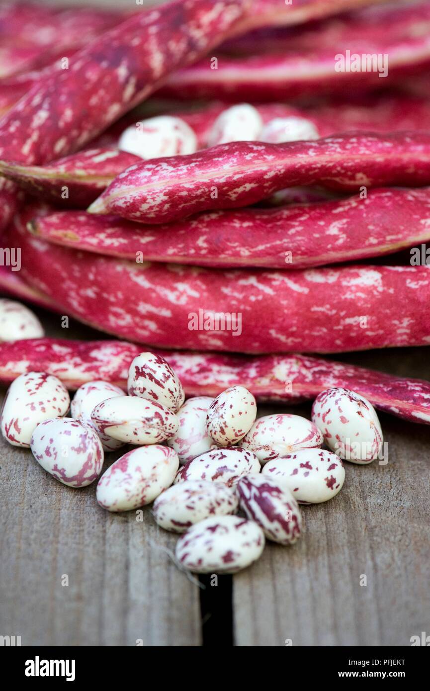 Semi Di Fagiolo Borlotto Lingua De Fuoco Nano - 100g, Per Orto, Francese - Foto 6