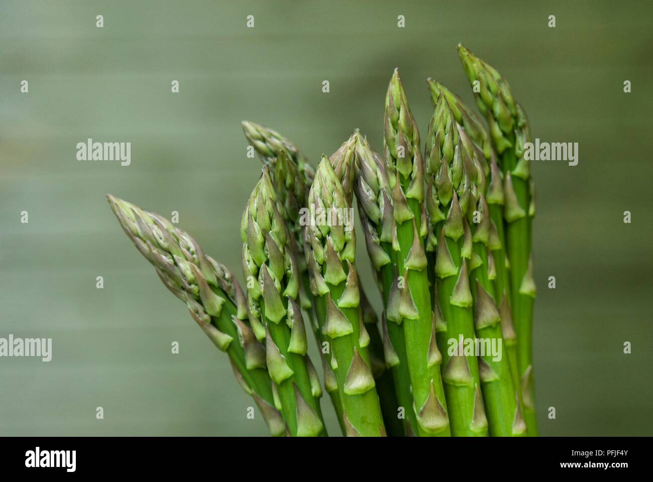 Asparagus spear uk hires stock photography and images Alamy