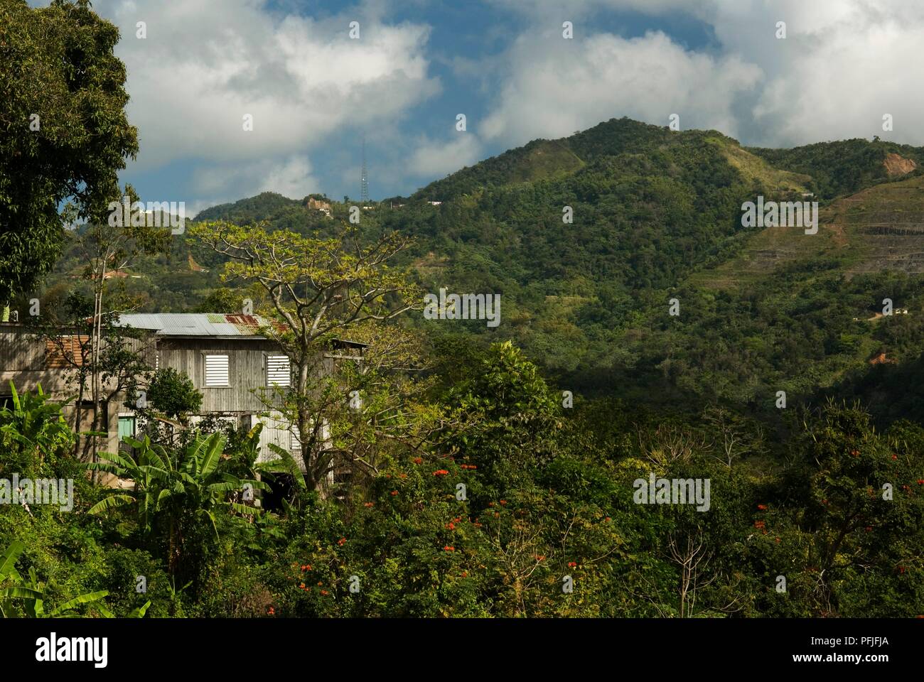Puerto Rico, Cordillera, view of house in mountains from Ruta Panoramica Stock Photo Alamy