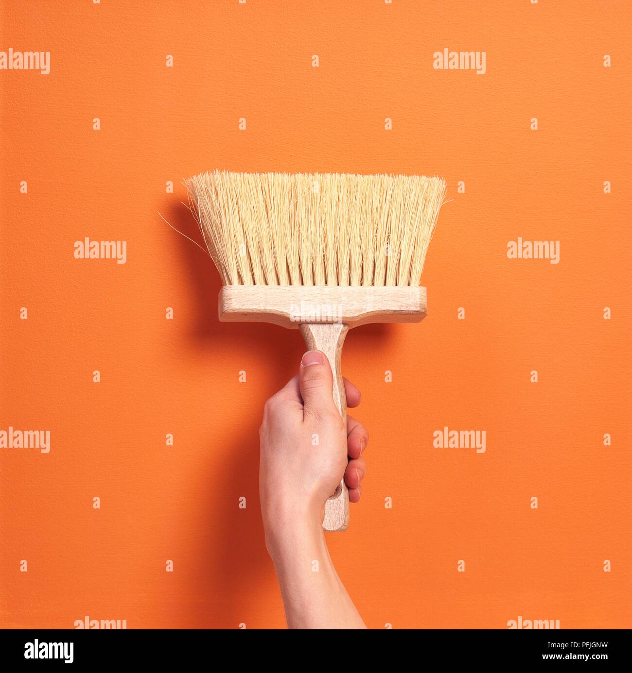 Hand holding brush with natural bristles Stock Photo Alamy