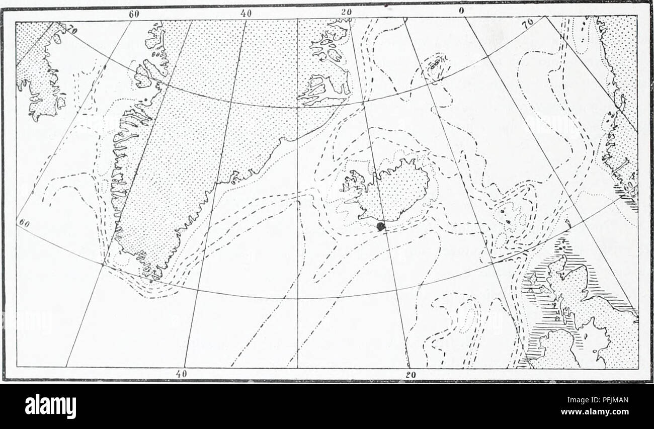 . The Danish Ingolf-expedition. Marine animals -- Arctic regions; Scientific expeditions; Arctic regions. 56 HYDROIDA II Forma viicrotheca: length of hydrotheca '/4-V5 the length of the internodiuin; the internodia of slender build. Material (forma typicd): &quot;Thor&quot; 35°57' N., 5°35' W., deptli 740 metres Iceland: Vestmano, depth 50 fathoms. Plimmlaria setacea divides in the same manner as the foregoing into a widely distributed warm water variety, forma microt/icca, and a temperate forma fypica, occurring both in subantarctic and boreal waters. Plimmlaria setacea is in northern waters  Stock Photo