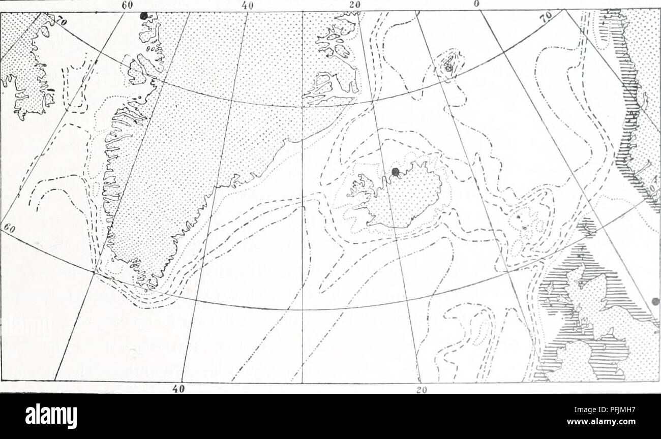. The Danish Ingolf-expedition. Marine animals -- Arctic regions; Scientific expeditions; Arctic regions. HYDROIDA 47 The reptaut stolons are covered 1)- a continuous cliitinous coenosarc, whose surface is studded with small prickles, among which occur larger chitinous spines about 1.5 mm. high, provided with lon- gitudinal rows of more or less regular small teeth. The large spines now and then show a tendency to divide at the apex. The polyps are up to 4 mm. long, whiti.sh or faintly reddish, with 20—30 tentacles in a dense whorl below the oral portion. The tentacles form a belt which appear Stock Photo