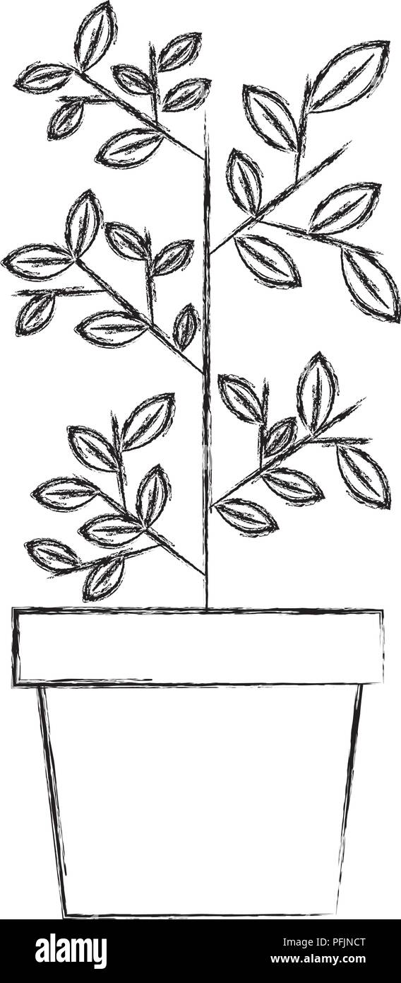 Details 80+ tulsi plant drawing easy xkldase.edu.vn