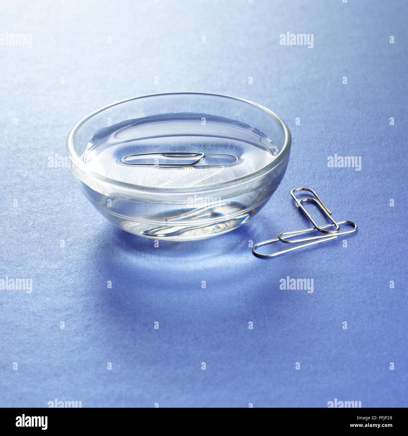 Paper clip floating on surface of water in bowl Stock Photo Alamy