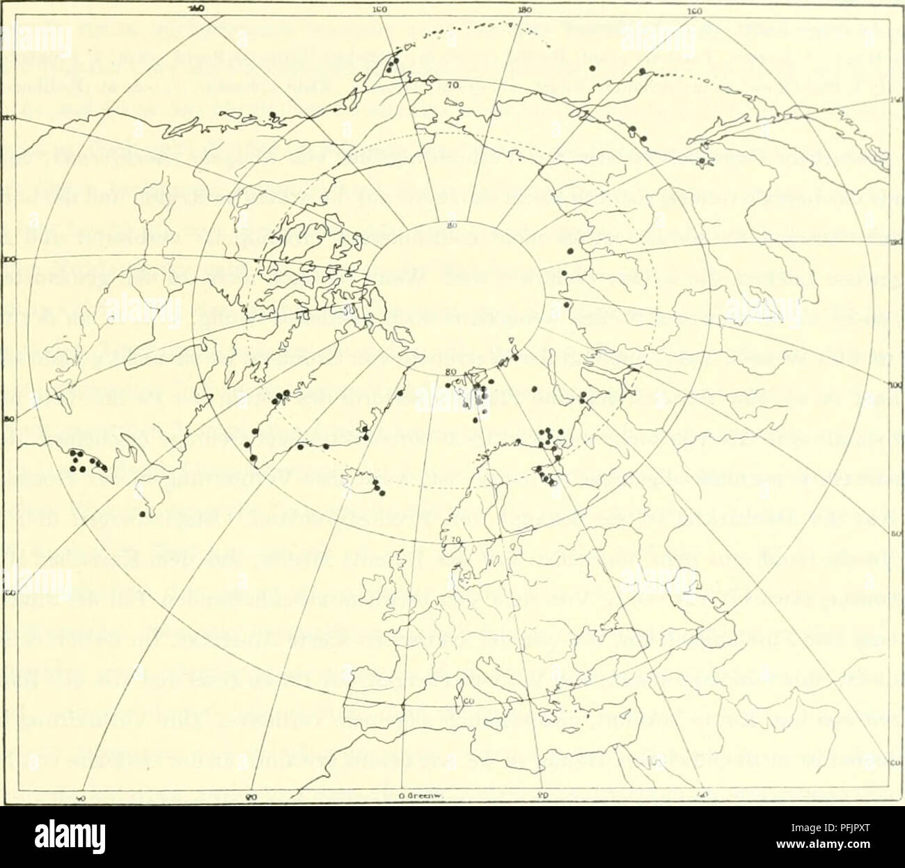 . The Danish Ingolf-expedition. Marine animals -- Arctic regions; Scientific expeditions; Arctic regions. ASCIDIACEA 119 Island: ohne nahere Angabe (Hartmeyer 1903); Ostkiiste: Beru Fjord, 32 in (i&gt;Diana(i); I^odinundar I'jord (neue Angabe); Kiisten- bank vor Siidostisland: 64''i7'N. I4Â°44'W., 7.5 m (-1-5.09Â° C. in 74 in) (Bjcrkan 1905). Baren InscI: 74Â°3(V X. i.S'i.i'O., agm; 74Â°3'N. I9''7'O,, 84111 (Hartmeyer 1903, 1904).. Fig. 8. Molgula retortifonnis 'crrill. Spitzbergengebiet: zw Biiren- luul Hoffnungs In.sel. 76Â°3o'N. 23Â°07'O., 4Sm; Hoffnung.s Iiisel, 11 Sni. s., 76Â°I2'X. 24Â° Stock Photo