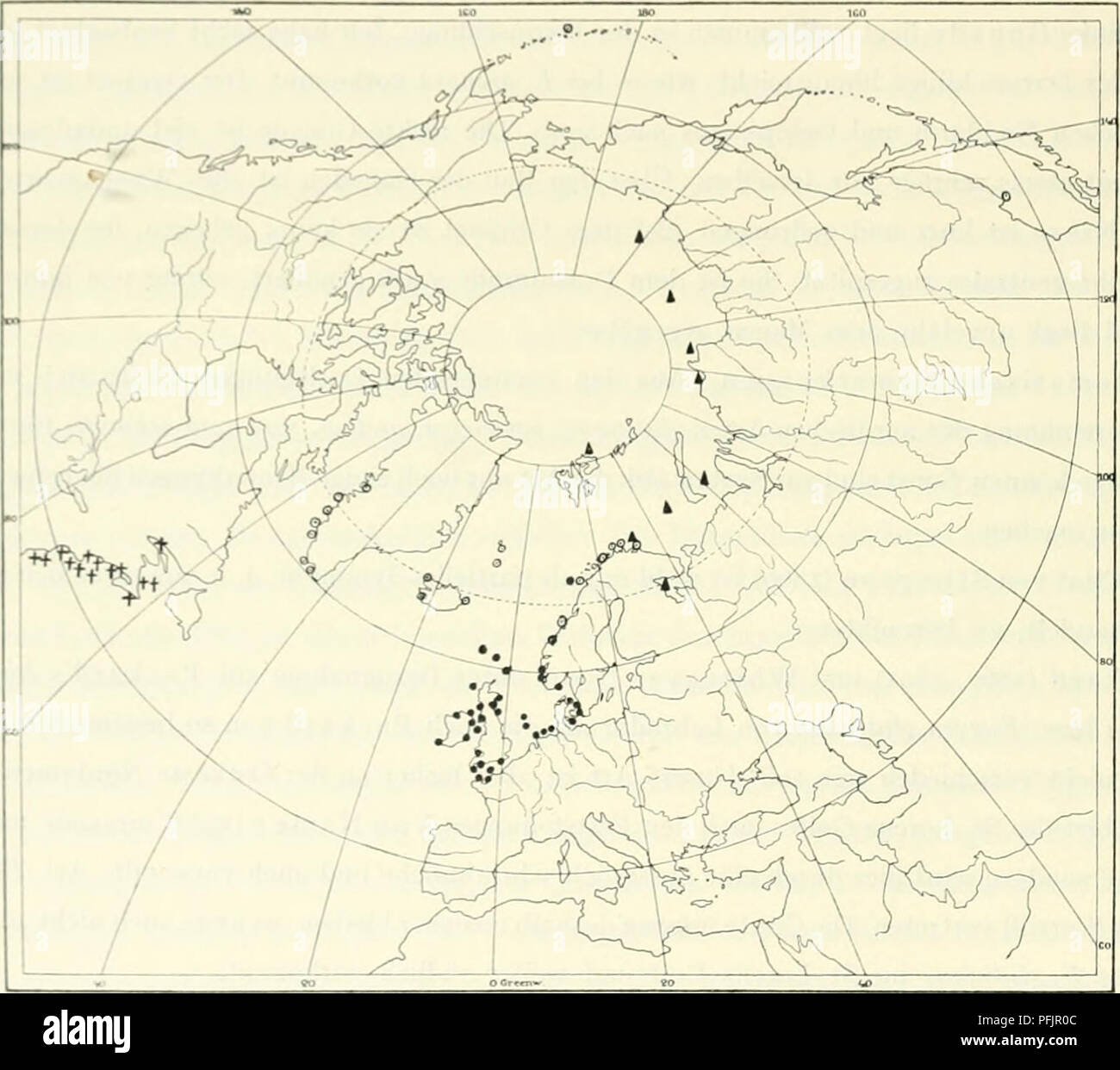 . The Danish Ingolf-expedition. Marine animals -- Arctic regions; Scientific expeditions; Arctic regions. Fig. I. 0 EugjTa glutinans (M511.); 0 Eugyra arenosa (Aid. Hanc); ^ Eugyra pedunculata Traust.; t Bostrichobranchus pilularis (Verrll). Horizontale Verbreitung. Arktische und boreoarktische Region. Gronland: ohne nahere Angabe (Moller 1842); Siidwestgronland: Godhavn (Hartraeyer 1914); Ikertok Fjord. 9,54m (neue .ngabe); Sukkertoppeu. 36, 72—90 m (Traustedt 1880); Godthaab (neue Angabe); Marrak'; Karniat; Julianehaab (Traustedt 1880). Island: Ostkiiste: Beru Fjord (nDianat). Jan Mayen: (D Stock Photo